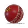 Red Leather Cricket Practice Balls Test Match Leather Balls (10)