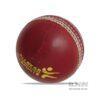 Red Leather Cricket Practice Balls Test Match Leather Balls (11)