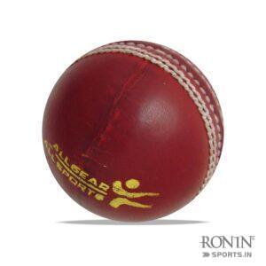 Red Leather Cricket Practice Balls Test Match Leather Balls (11)