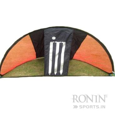 Ronin Cricket Target Sumps Goal