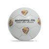 30 Panel Footballs - Image 4