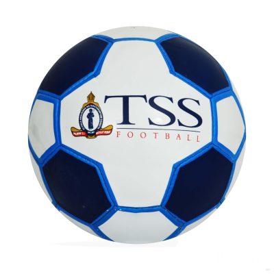 Ronin-4-Stroke-Quad-Panel-Footballs-Manufacturers-and-Suppliers-in-India-Ronin-2-4