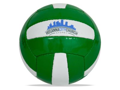 Ronin Promotional Volleyballs Manufacturers (1)